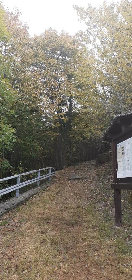 Beura A Casa Di Lara Bed & Breakfast エクステリア 写真